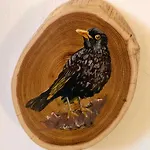 Amselwohnung * Gommern