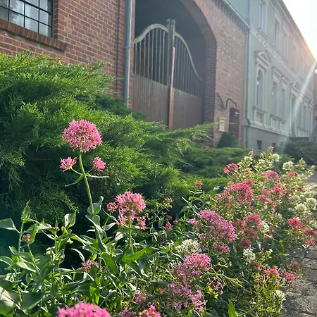 Amselwohnung * Gommern